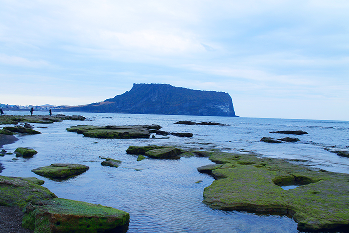  
Seongsan Ilchulbong from a distance
